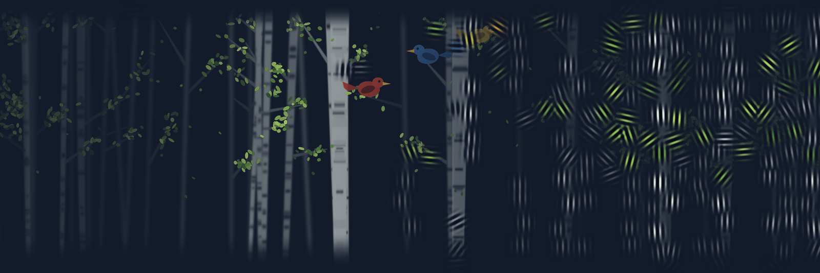 A birch forest breaking apart into a field of oriented Gabor patches